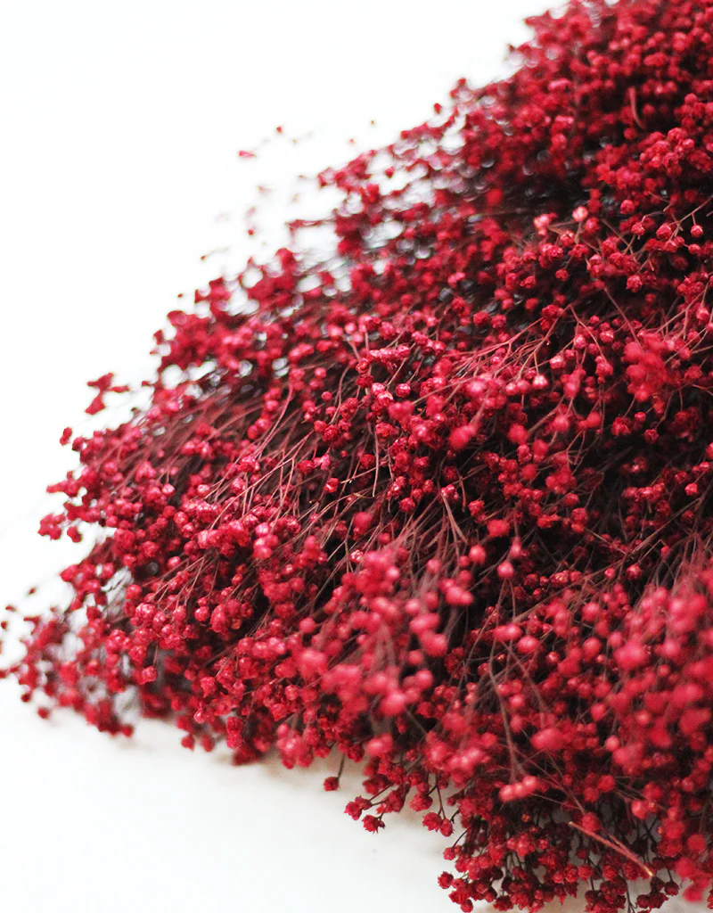 Autumn Dried Flowers Collections